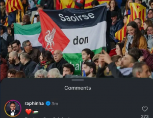 رافينيا - فلسطين