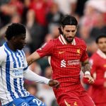 ليفربول - برايتون